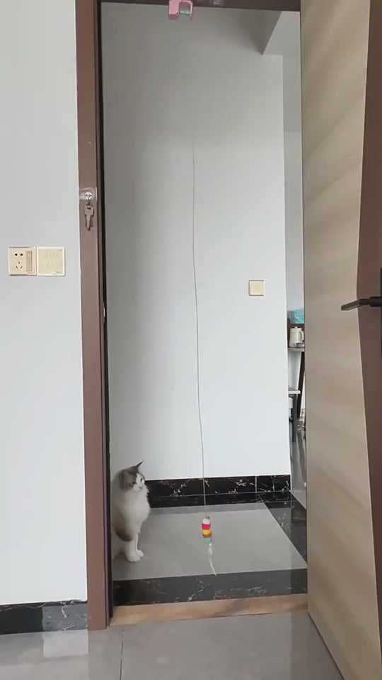 Juguete Interactivo para Gatos — Colgante Automático, Oruga Voladora, Juego Solos, Adhesivo sin Perforaciones