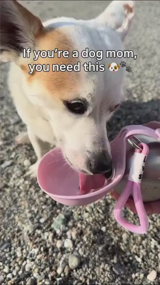 🐶 Botella de Agua Portátil para Mascotas – Acero Inoxidable, Diseño Práctico para Viajes y Paseo